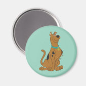 Aimant Scooby-Doo Cuter Plus que mignonne (Recto/Verso)