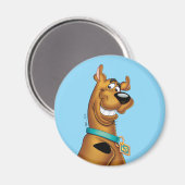 Aimant Scooby-Doo Grin (Recto/Verso)