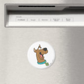 Aimant Scooby-Doo Joyeux Visage (In Situ (Lave-vaisselle))