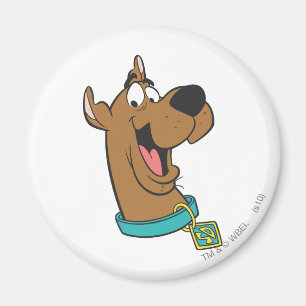 Aimant Scooby-Doo Joyeux Visage