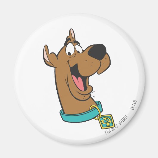 Aimant Scooby-Doo Joyeux Visage (Devant)