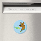 Aimant Scooby-Doo Winking (In Situ (Lave-vaisselle))