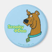 Aimant Scooby-Doo Winking (Devant)