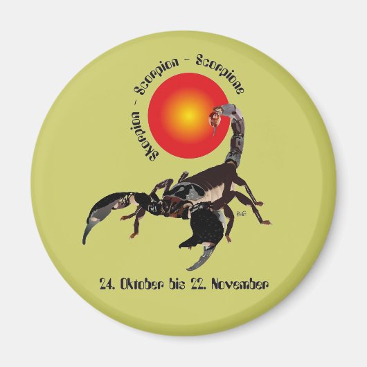 Aimant Scorpion (Devant)