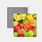 Aimant Scotch Bonnet (Recto/Verso)