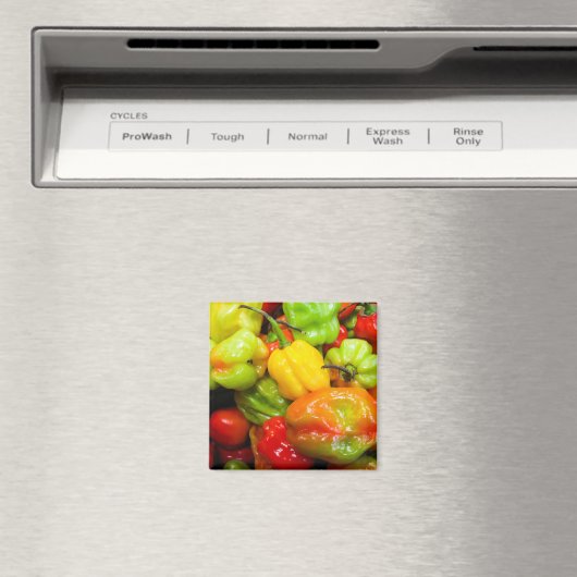 Aimant Scotch Bonnet (In Situ (Lave-vaisselle))