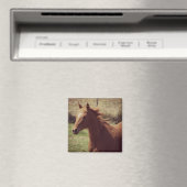 Aimant Scotch in Motion (In Situ (Lave-vaisselle))
