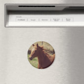 Aimant Scotch in Motion (In Situ (Lave-vaisselle))