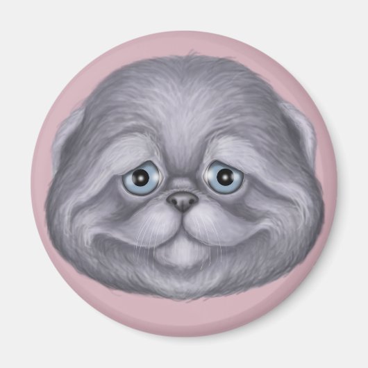 Aimant Scottish Fold Kitten (Devant)