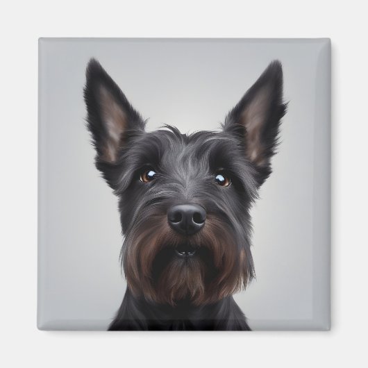 Aimant Scottish Terrier (Devant)
