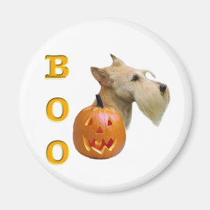 Aimant Scottish Terrier (blé) Boo