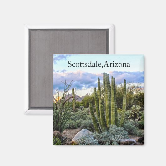 Aimant Scottsdale Succulent Sunset (Recto/Verso)