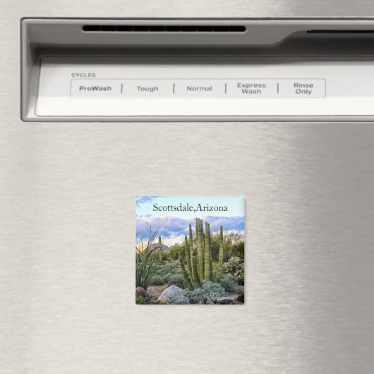 Aimant Scottsdale Succulent Sunset (In Situ (Lave-vaisselle))