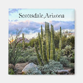 Aimant Scottsdale Succulent Sunset (Devant)