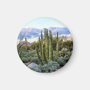 Aimant Scottsdale succulent Sunset