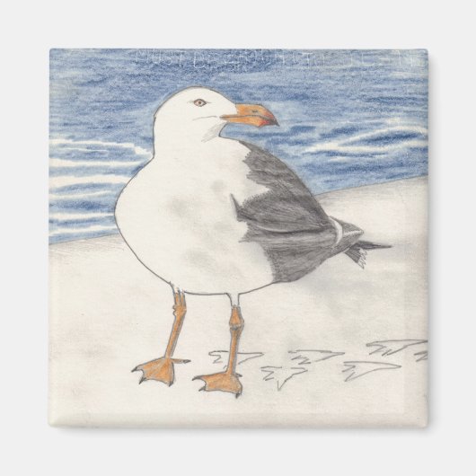 Aimant SEA GULL (carré) (Devant)