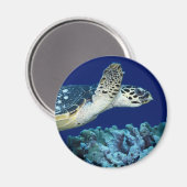 Aimant Sea Life - Tortue de mer (Recto/Verso)
