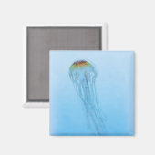 Aimant Sea Nettle (Recto/Verso)