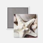 Aimant Sea Shell Starfish Arrière - plan - Beach Shells (Recto/Verso)
