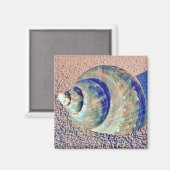 Aimant Sea Welk Seashell (Recto/Verso)