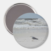 Aimant Seagull on the Beach (Recto/Verso)