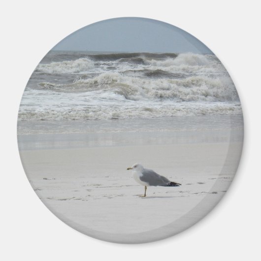 Aimant Seagull on the Beach (Devant)