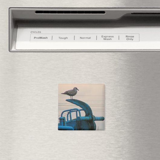 Aimant Seagull Repose Sur L'Ancre Du Navire | Choshi (In Situ (Lave-vaisselle))