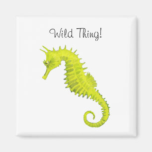 Aimant Seahorse