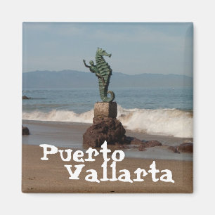 Aimant Seahorse Out Water; Mexique Souvenir