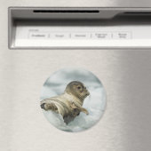 Aimant Seal bébé doux (In Situ (Lave-vaisselle))