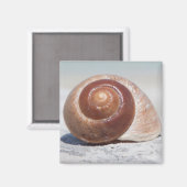 Aimant Seashell Saint-Pétersbourg (Recto/Verso)