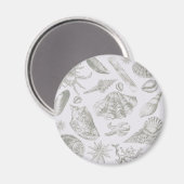 Aimant Seashell Soft Antique Art Beach Shops (Recto/Verso)