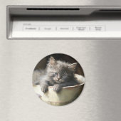 Aimant Seau Plein De Joie Sweet Grey Kitten (In Situ (Lave-vaisselle))