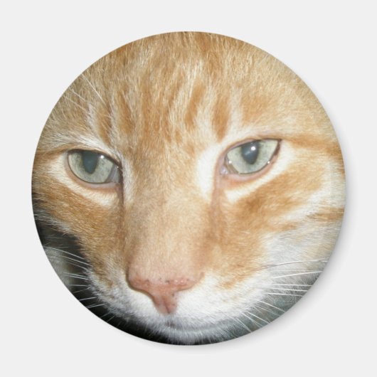 Aimant Secourir l'aimant de chat (Devant)
