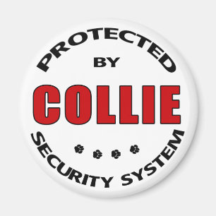 Aimant Sécurité Collie