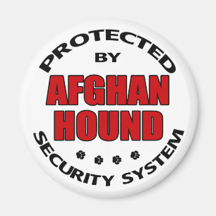 Aimant Sécurité Lévrier Afghan
