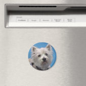 Aimant Sel (In Situ (Lave-vaisselle))