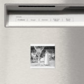 Aimant Sel et verre (In Situ (Lave-vaisselle))