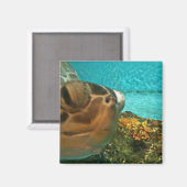 Aimant Selfie de tortue marine amusante (Recto/Verso)