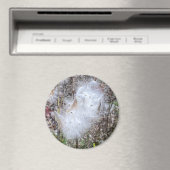 Aimant Semences d'algues laitières et bureau de la soie (In Situ (Lave-vaisselle))