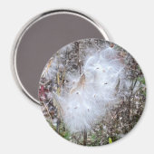 Aimant Semences d'algues laitières et bureau de la soie (Recto/Verso)