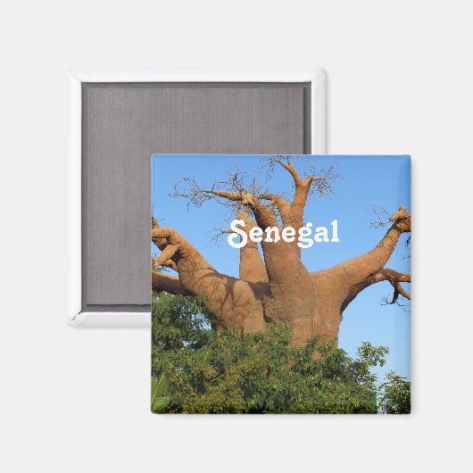 Aimant Sénégal (Recto/Verso)