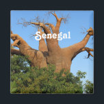 Aimant Sénégal<br><div class="desc">Campagne dans le pays du Sénégal.</div>