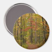 Aimant Sentier de Laurel Hill en automne (Recto/Verso)
