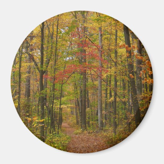 Aimant Sentier de Laurel Hill en automne (Devant)