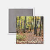 Aimant Sentier de randonnée à Automne, Parc Gatineau (Qué (Recto/Verso)