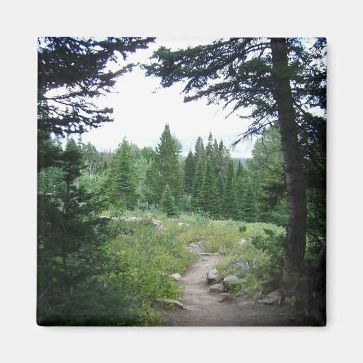 Aimant Sentier Grand Teton (Devant)