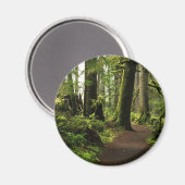 Aimant Sentier parmi les géants (Recto/Verso)