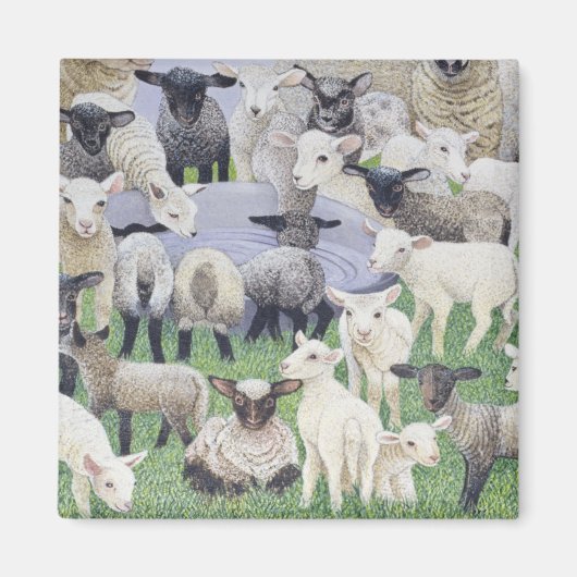 Aimant Sentiment de Sheepish (Devant)