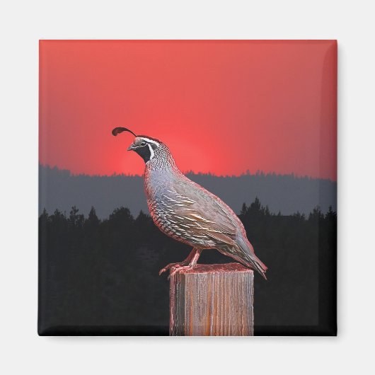 AIMANT SENTINEL AT SUNSET (Devant)